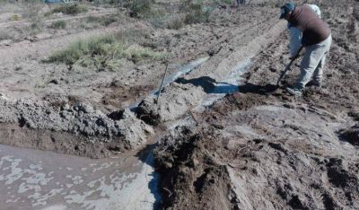 Choele Choel: el r�o Negro lleva m�s de 60 d�as sin recibir residuos cloacales