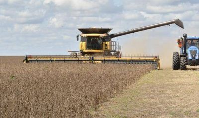 Pese a las ganancias, el campo necochense gener� un 1,7% menos de empleo