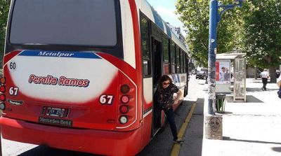 Cambareri: �El nuevo pliego de transporte ser� muy beneficioso para los usuarios�