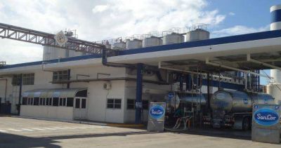 SanCor vendi� dos plantas y dos marcas y le garantiz� el empleo a 300 empleados