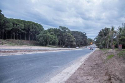 En una semana arranca la colocaci�n de luminarias en la Avenida 10