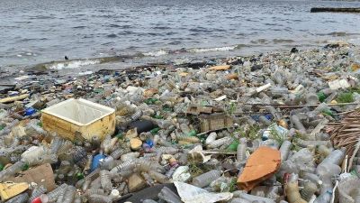 Pl�stico en el oc�ano: una crisis tan grave como el cambio clim�tico que va del mar al plato