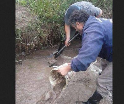 Obras Sanitarias trabaj� fuerte en distintas aver�as para evitar el derroche de agua 