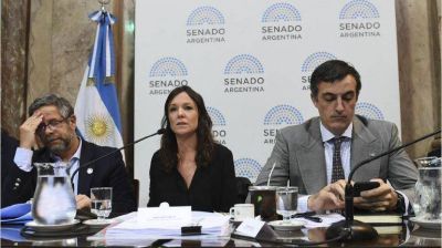 Entre bonos y aguinaldo, diciembre sumar� $ 186.000 millones para el consumo