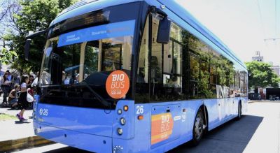 Rosario tendr� dos l�neas de trolebuses solares