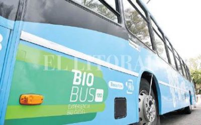 El futuro lleg�: las energ�as renovables van por un salto de escala en Santa Fe