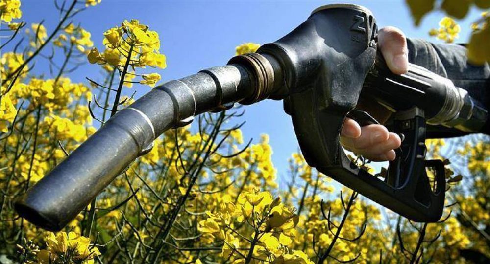 Energa subi precios de los biocombustibles: se evalan nuevos aumentos en los surtidores