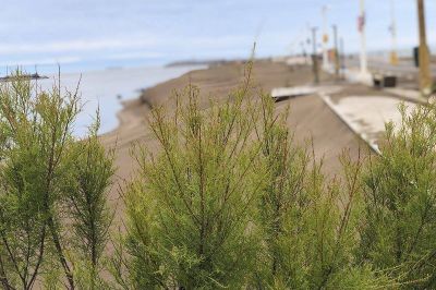 Puerto Quequ�n desarrollar� obras en las costaneras de Necochea y Quequ�n