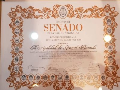 El Senado reconoci� la 
