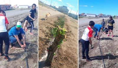 De mini basural a espacio de recreaci�n para ni�os y adolescentes