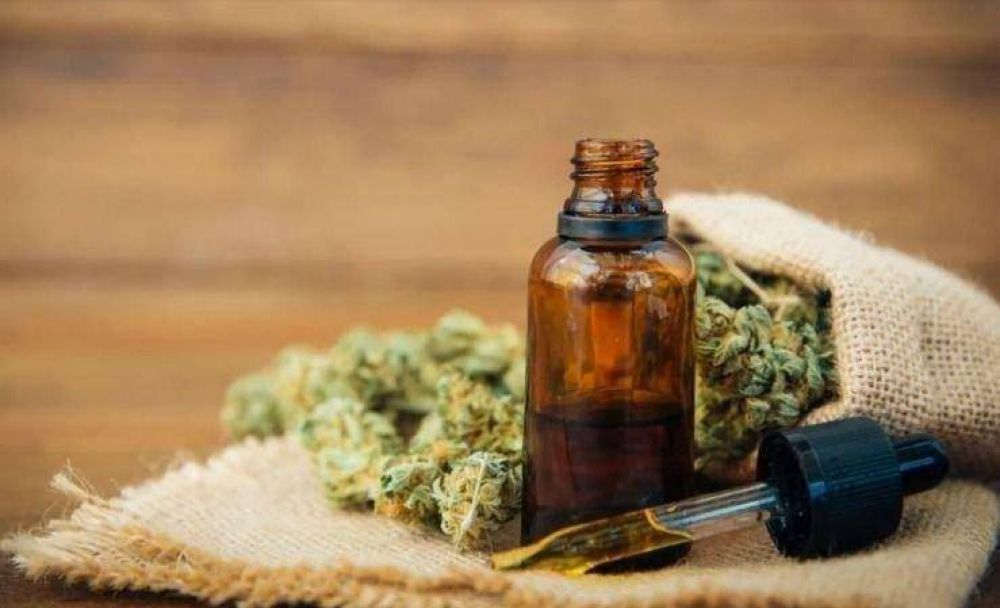 Buscan que el cannabis medicinal sea incorporado al sistema de salud municipal