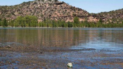 Estudiantes investigan la contaminaci�n del r�o