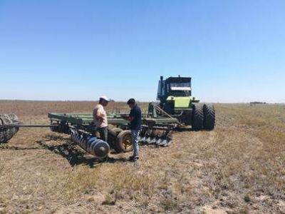 Fiscalizaron condiciones laborales de 226 trabajadores rurales