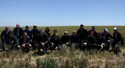 Empresarios de medianos y grandes molinos de Brasil visitaron Quequ�n y la zona 