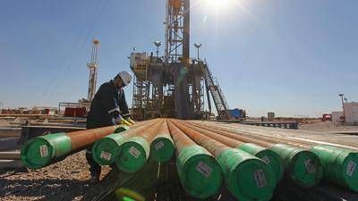 PAE cerrar� el a�o con una inversi�n de 1100 millones de d�lares