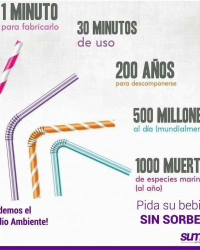 Bonifatti: Ponemos a disposicin del Intendente el proyecto sobre prohibicin de sorbetes