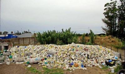 Secuestran 13 mil bidones de agrot�xicos tirados