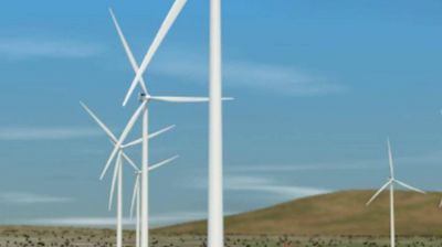 Con viento a favor en Madryn