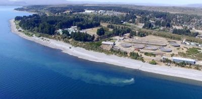 Cada d�a, vuelcan 2,5 millones de litros de excrementos al lago Nahuel Huapi