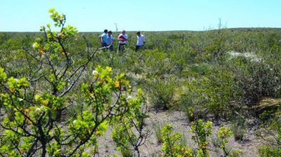 Huergo: empieza en enero la construcci�n del parque solar