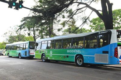 Presentaron los dos primeros colectivos que funcionar�n con biodiesel