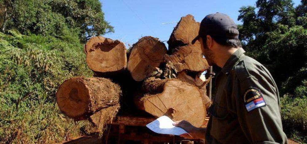 Misiones promover agentes pblicos especializados en preservacin y fiscalizacin de bosques nativos