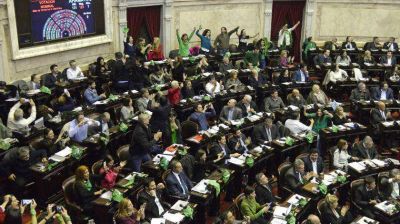 En 2019 volver�n a presentar el proyecto de legalizaci�n del aborto