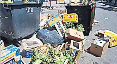 Mucha basura, pero sin caos