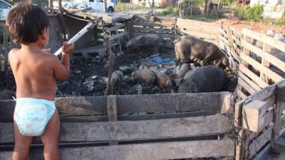 M�s de 1,5 millones de chicos pasan hambre en Argentina
