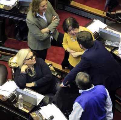 Peligra la conducci�n oficialista en Diputados para 2019 y crece la interna Monz�-Carri�