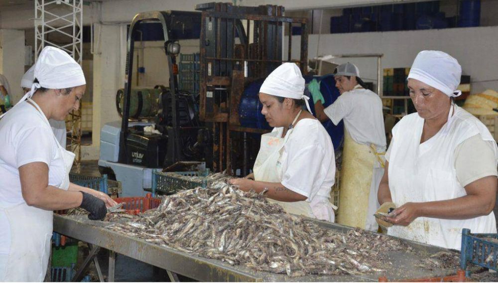 Engraucoop, una lucha ganada por las mujeres que genera cientos de puestos laborales