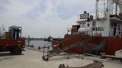 La estiba en Puerto Quequ�n, el primer eslab�n de una cadena que se reactiv� junto con la pesca 