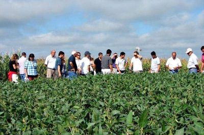 Los agr�nomos se separan de los ingenieros y constituyen su propio Colegio a nivel provincial