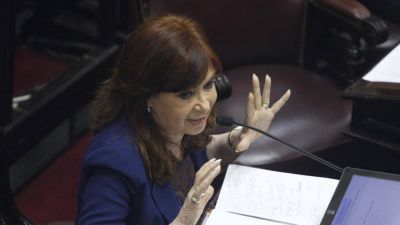 Proponen a Cristina que sea candidata a gobernadora si Vidal desdobla