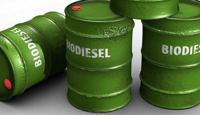 La industria de los Biocombustibles exige un tratamiento tributario diferencial