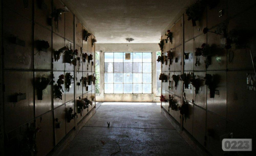 Abandono y desidia: as se trabaja en el Cementerio Parque municipal de Mar del Plata
