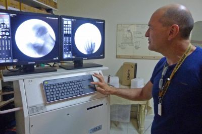 Se invirtieron m�s de 204 millones en la compra de ambulancias, insumos y equipamiento para la salud 