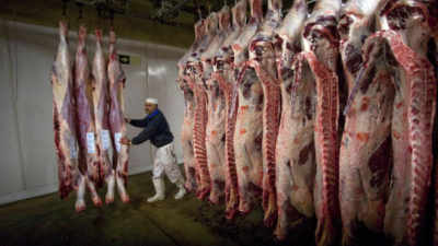 Rituales animales unen a jud�os y musulmanes en una lucha com�n