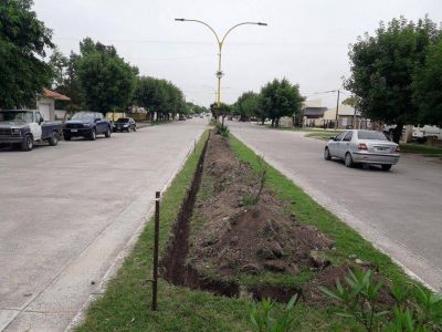 Se ampliar� la iluminaci�n LED en Avenida Carricart
