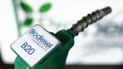 La producci�n de biodi�sel cay� un 15%