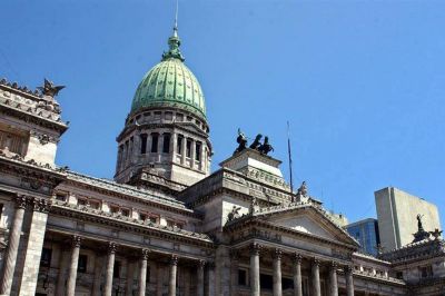 La seguridad y el aborto, en el eje del debate sobre el nuevo C�digo Penal