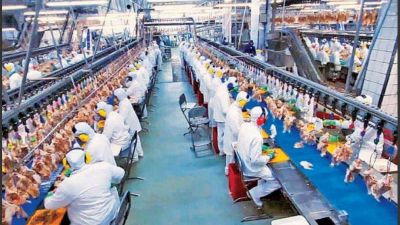 Por sus malos resultados, dos alimenticias multinacionales emprenden la retirada del pa�s
