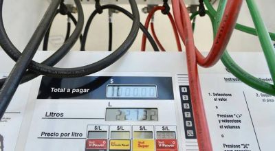 Empresa por empresa: Como es la participaci�n de cada una en el mix de ventas de combustibles