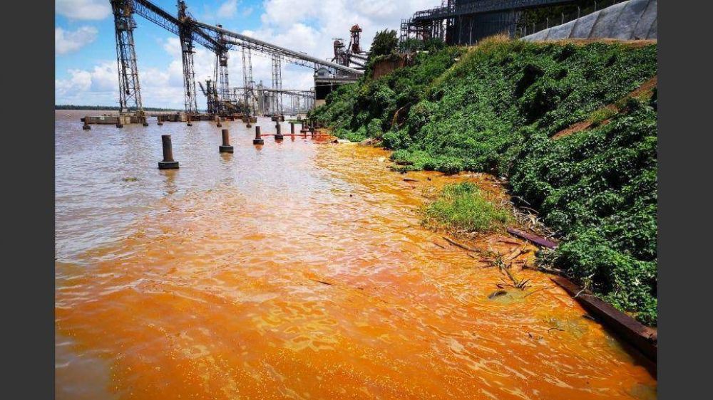 Empresas aceiteras derramaron 1.000 toneladas en el ro Paran