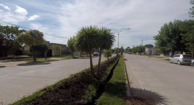 Iluminaci�n LED: contin�an las tareas sobre Avenida Carricart 