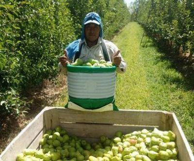 Cerr� en 42% el aumento para los trabajadores de la fruta 