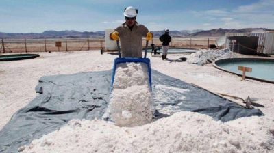 La Argentina apuesta a desarrollar el litio en cooperaci�n con Chile, Bolivia y Per�