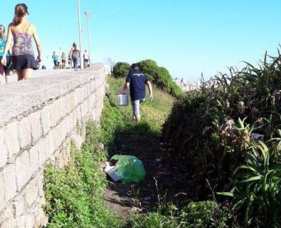 El Municipio avanza en la campa�a de desratizaci�n de espacios p�blicos