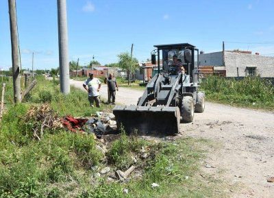 Tareas para evitar la acumulaci�n de residuos en la v�a p�blica