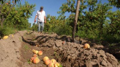 Prestigiosa multinacional peruana arrib� a Mendoza en busca de productos frutales